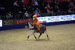 Quadrille - 00072
